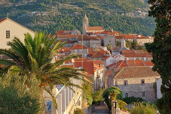 1 Hour Private Walking Tour in Korcula - Price and value for a licensed local guide