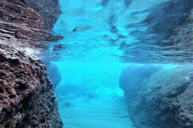 2 hours Elafiti Islands Private Tour by Barracuda 545 - Koločep Island stop: Blue and Green Cave, jump points, and swim bays