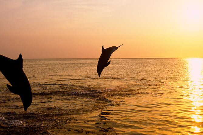 3hours all inclusive Sunset&Dolphin Tour from Medulin on Sandra - Setting Sail From Medulin Harbor at Golden Hour