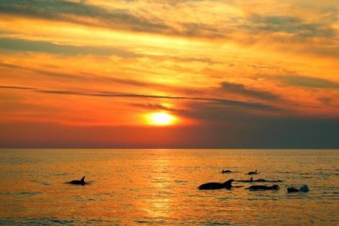 3hours all inclusive Sunset&Dolphin Tour from Medulin on Sandra - Onboard Dinner With Fish, Meat, or Vegetarian Choices