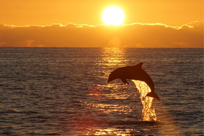 3hours all inclusive Sunset&Dolphin Tour from Medulin on Sandra - Who This 3-Hour Sunset Cruise Fits Best