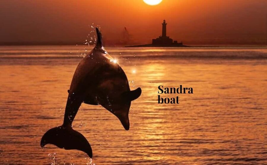 3hours Dolphin Sunset watching with unlimited drinks +dinner - Key things that make this cruise worth your attention