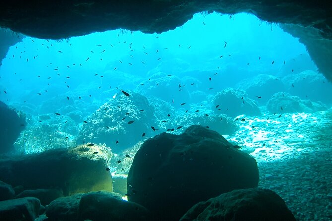 4h / 6h / 8h Elaphite Islands Tour with 7.5m/24FT SunDeck Boat - Lopud Island: monastery walk and a calmer lunch option