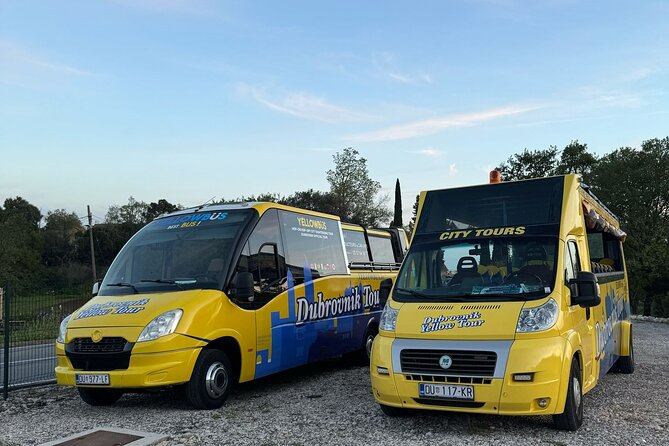 90 Minutes Cabrio Bus Sightseeing Tour of Dubrovnik - Bridge and Harbor Views at Most Dr. Franja Tudmana