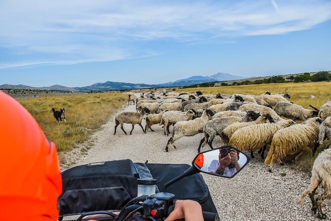 ATV Dinara Mountain tour with picnic - Timing, group size, and what the experience feels like for different people
