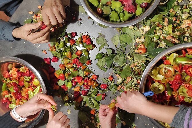 Authentic Garden to Table Cooking Class in Dubrovnik Countryside - The Garden Visit: Why This Part Makes the Whole Class Worth It