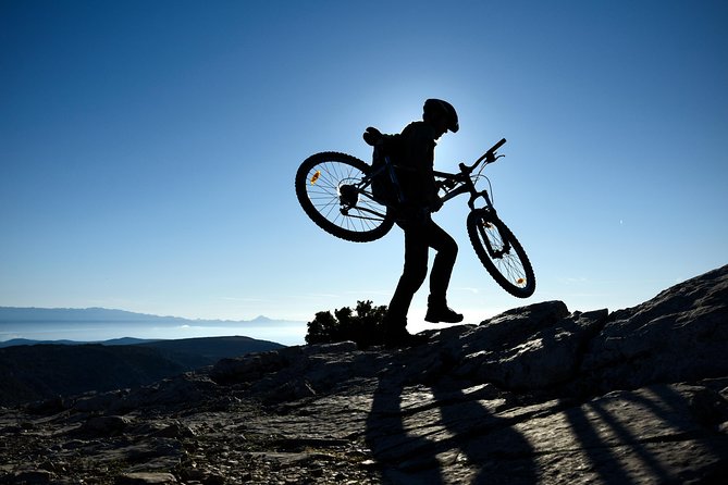 Biking Vidova - Skrip & museum of olive oil - Splitska - Postira - Riding the pine sheltered descent, with a safe pace you can actually enjoy