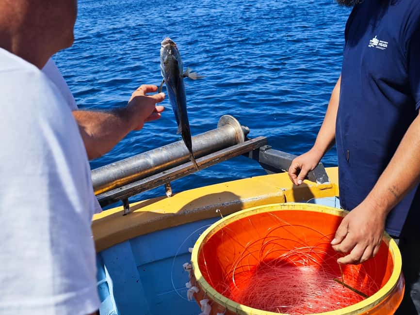Biograd: Authentic Fishing Tour in Croatia. Kids Love This! - Cruise past Vrgada and the local fish farms (mariculture talk)