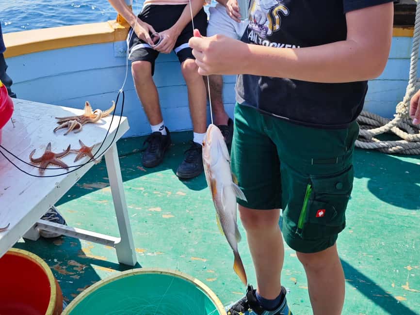 Biograd: Authentic Fishing Tour in Croatia. Kids Love This! - Watching the dolphins while the boat moves