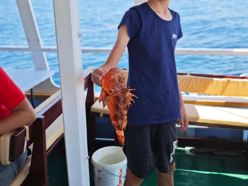 Biograd: Authentic Fishing Tour in Croatia. Kids Love This! - Catch review, then free time on Vrgada