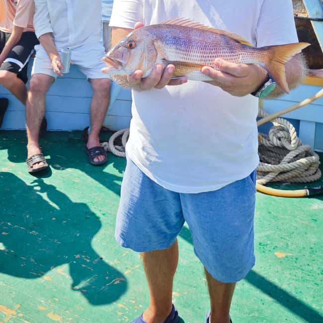 Biograd: Authentic Fishing Tour in Croatia. Kids Love This! - The fish lunch from your day’s catch tastes better on purpose