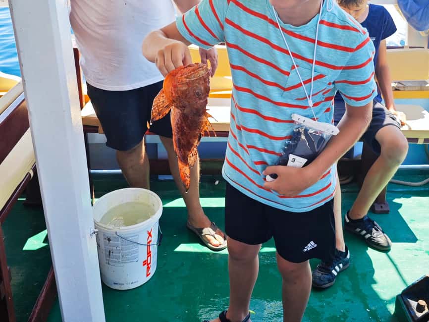 Biograd: Authentic Fishing Tour in Croatia. Kids Love This! - Welcome drink, cooperative roots from 1909