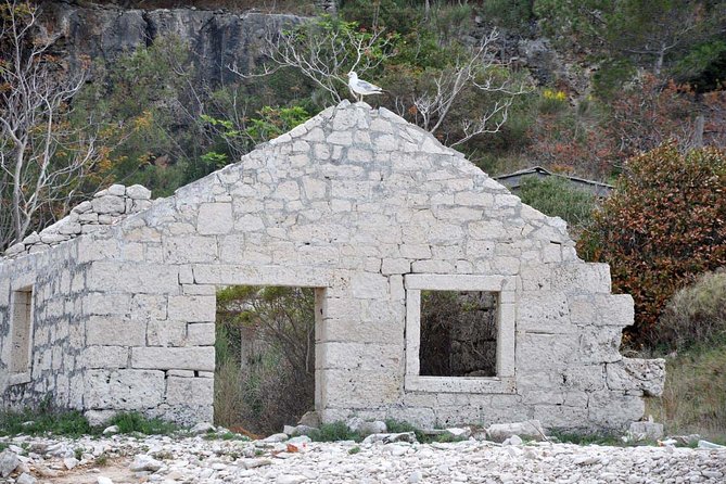 Bits of History - Half day kayak Tour with Wine delight - Gubavac and Vrnik: coffee, Klašun cake, Grk wine, and stone quarrying