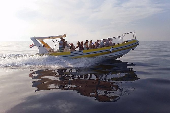 Blue Cave | 5-Hour Afternoon Sea Safari - How the 2:30 pm Blue Cave Safari Works as a Half-Day Plan