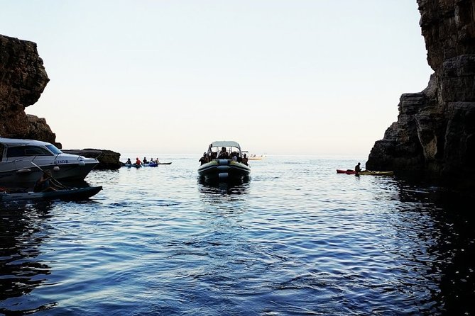 Blue Cave | 5-Hour Afternoon Sea Safari - Who Should Book This Afternoon Sea Safari