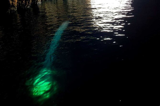 Blue & Green Cave Vis Island and Pakleni Islands Private Day Trip from Hvar - Green Cave on Ravnik: what to expect in 30 minutes