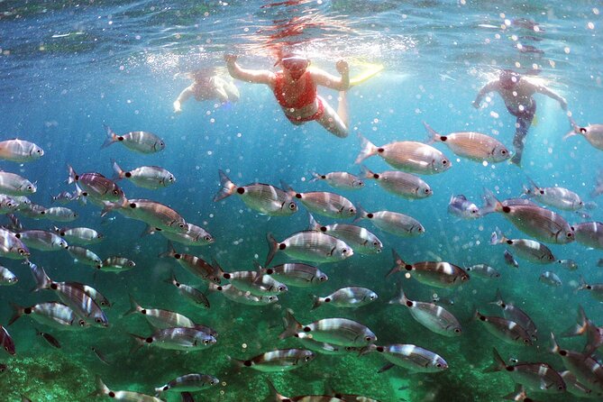 BOAT & KAYAK! Sea Adventure - Snorkeling & Cliff Jumps - Quick hits