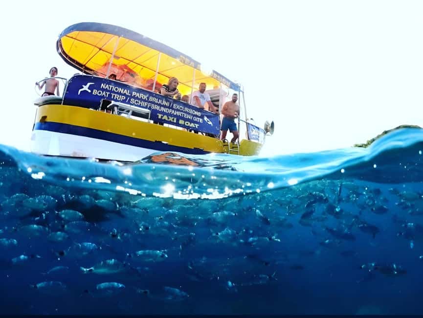 Boat Trip – Coastal Tour from Fažana to Pula and snorkelling - Meeting at Ul. Titova Riva: Getting on Board Without Stress