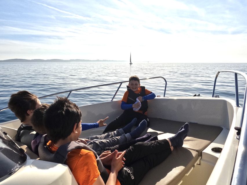 Brijuni Islands: Sunset & Dolphins private boat tour - Return to Fažana, and the deer bonus