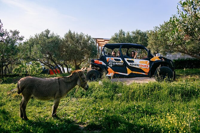 Buggy Dubrovnik Safari Tour (Private) - Dubrovnik Observation Point at 415 m: sea and Old Town, no cable car