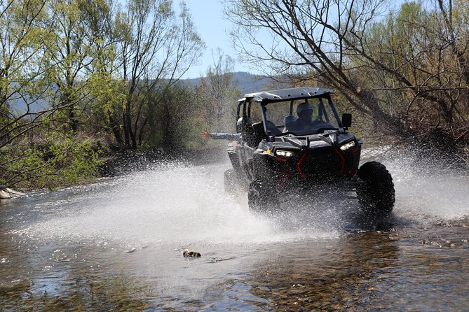 Buggy Safari in the Countryside with Transport from Dubrovnik - Arrival back at Kojan Koral: fruit, drinks, and animal time