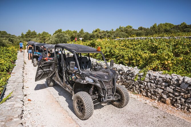 Buggy Safari With Wine Tasting - Vela Przina in Lumbarda: the swim stop that changes the mood