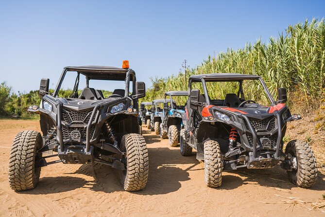 Buggy Safari With Wine Tasting - Off-road vineyard roads: Greek grape scenery along the way