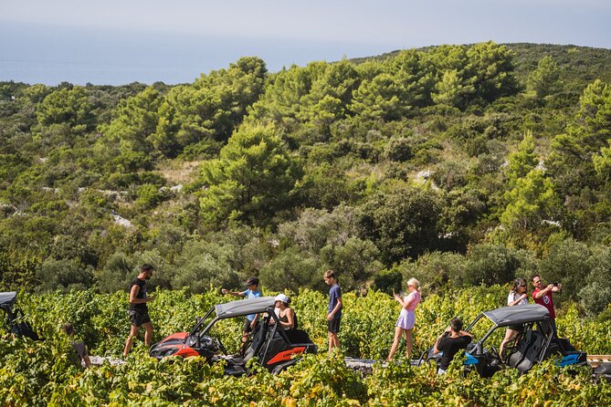 Buggy Safari With Wine Tasting - Getting started at 10:00, and how pickup really works