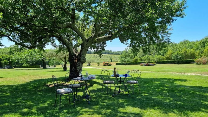 Buje: Istrian Family Farm with Walking Tour, Food, and Wine - Finding the farm near Buje, Kukov Vrh, and the easiest arrival plan