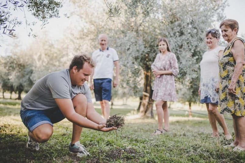 Buje: Istrian Family Farm with Walking Tour, Food, and Wine - Orchard time in the Mediterranean with 31 fruit varieties