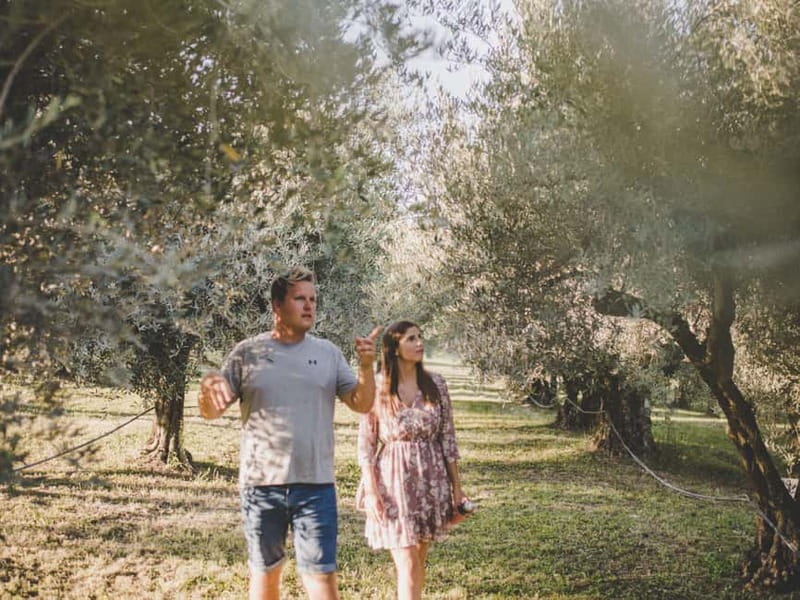 Buje: Istrian Family Farm with Walking Tour, Food, and Wine - Palazzina Montebello on Montecucco hill: why this historic start matters