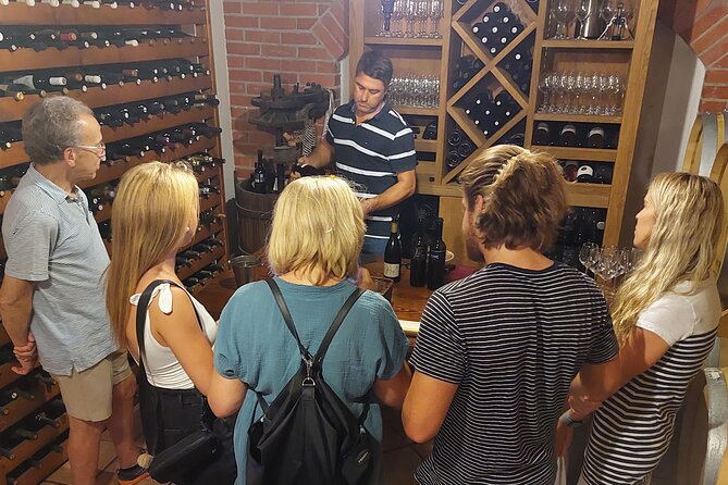 Classic Tour with Wine Tastings from Dubrovnik - Ston Walls, Salt Factory Legends, and the One Stop That Splits Opinions