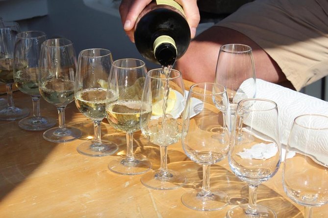 Classic Tour with Wine Tastings from Dubrovnik - Guide Mario and the WSET-led Approach That Keeps Questions Coming