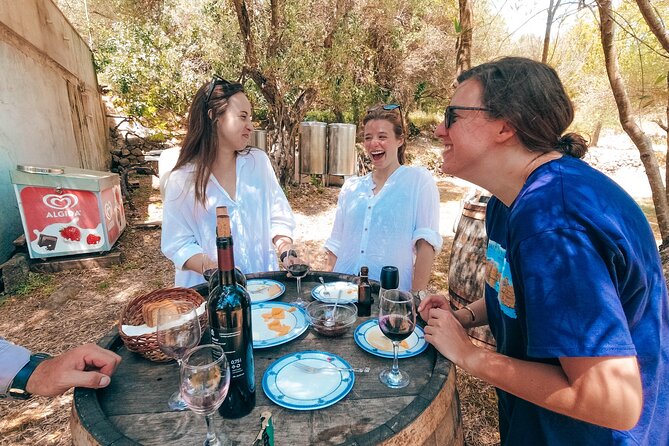 Coastal Vineyards: A Dream Wine Tour to Elaphiti Islands - Key things to know about this Coastal Vineyards private tour
