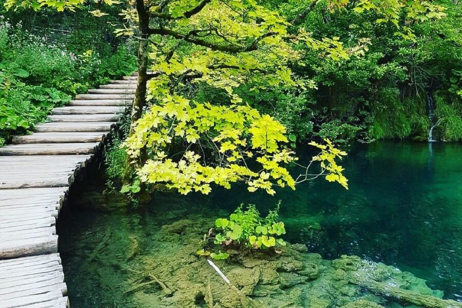 Croatia: Plitvice Lakes Private Tour with Hotel Pickup - Lower Lakes to Break Time: Food at the Boat Station