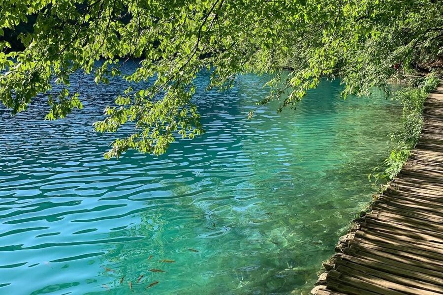 Croatia: Plitvice Lakes Private Tour with Hotel Pickup - Entering Plitvice: How the Guided Route Gets You Oriented Fast
