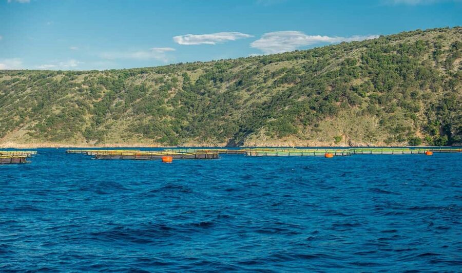 Cruise at Golden Beach and Blue cave, explore island Plavnik - Golden Beach Bay time with tall cliffs and sandy calm