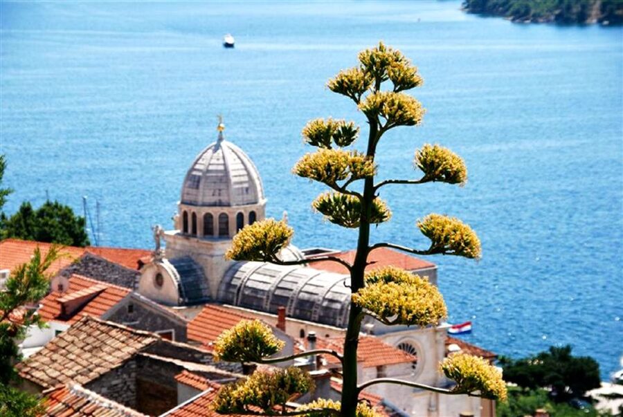 Dalmatian Delights: Food & Wine Tour from Split or Trogir - FAQ