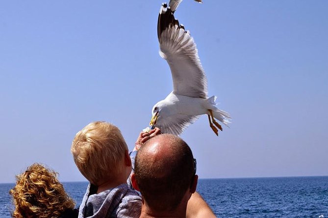 Day Cruise in the Elafiti Islands from Dubrovnik - Koločep: swim-friendly shores and why this stop can feel short