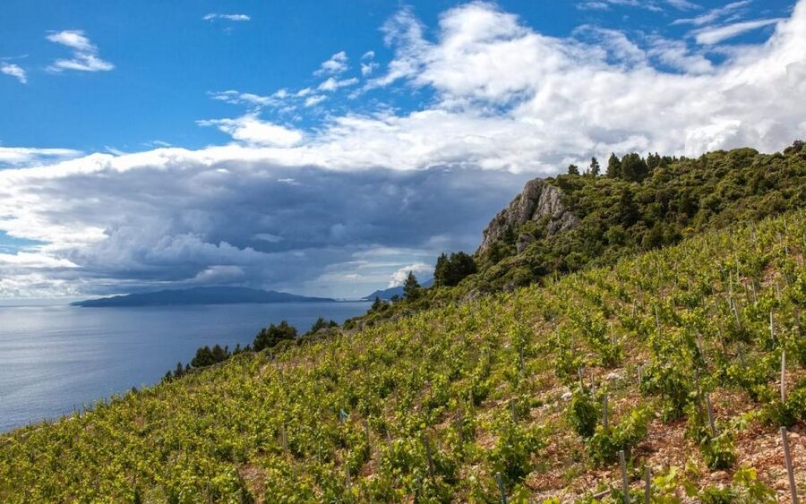 Day Tour from Dubrovnik - Korčula and Pelješac Wine Tasting - Ston: medieval walls, coffee time, and a saltworks detour