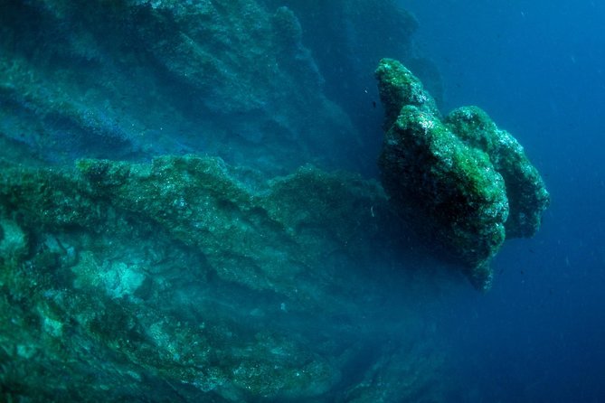 Diving day tour with 2 dives - Where You Go Underwater, Without Overpromising