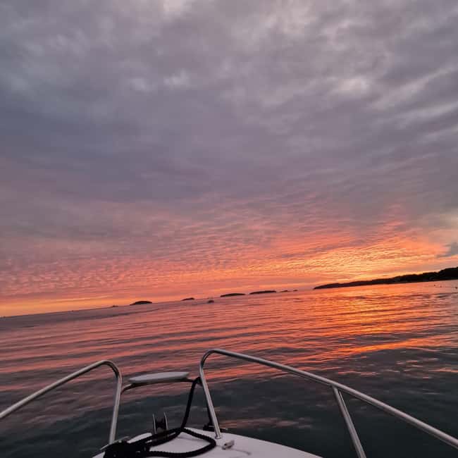 Dolphin private sunset tour Rovinj - How dolphin watching is handled: 30-40 minutes of careful observation