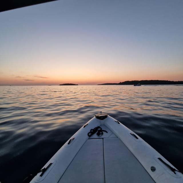 Dolphin private sunset tour Rovinj - What to bring and how to plan your evening