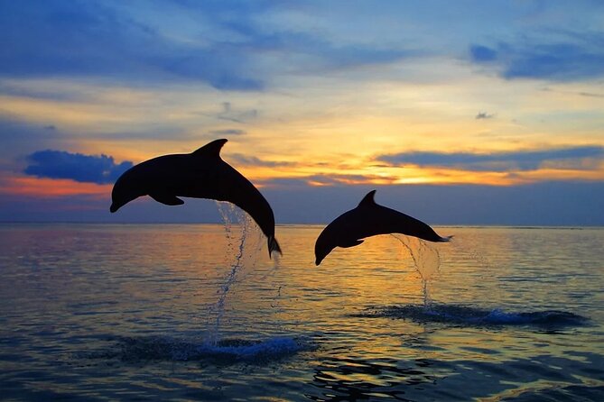 Dolphin Sunset Adventure with Speedboat - Who the skipper is and why the guidance feels important