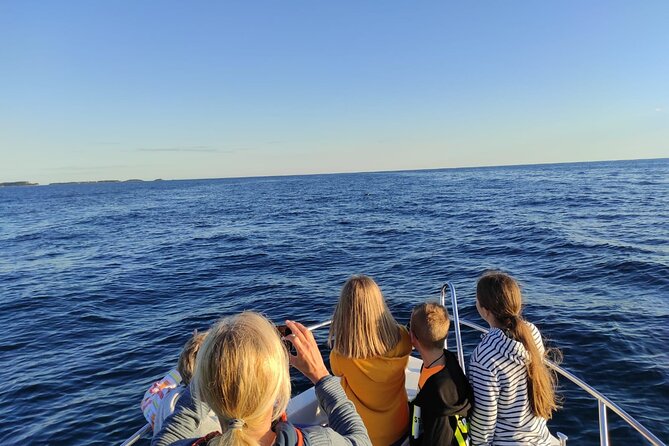 Dolphin Sunset Adventure with Speedboat - Is this worth it with kids, couples, and first-timers?