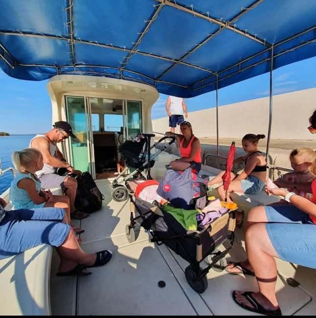 Dolphin tour 2 hours - Zadar dolphin spotting, powered by a 2-hour speedboat