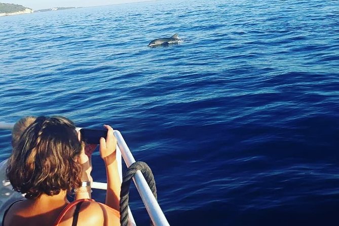 Dolphin Watching & Sunset Boat Tour With Dinner and Drinks - Sunset on the water: the part that sticks with you