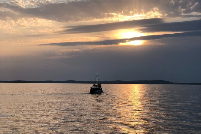 Dolphin Watching Tour – 85% Chance – Drinks & Dinner Included - Price and value: why $54.42 makes sense for the right traveler