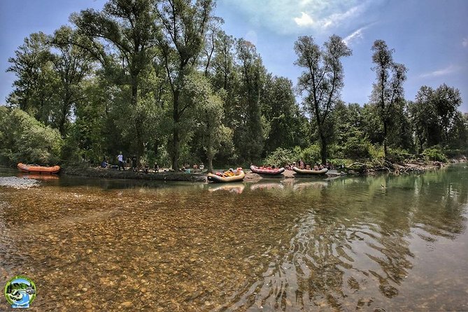 Drava Rafting Safari - Stop 1, the Drava forest, and why it’s more than a break