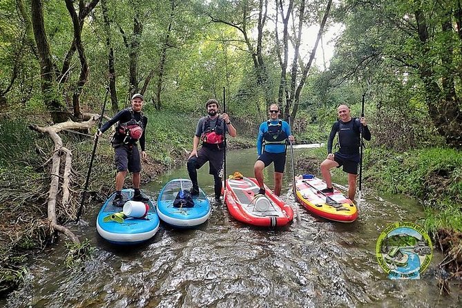 Drava Sup Exploring Adventure - The Drava forest stop: what a 3-hour SUP outing feels like